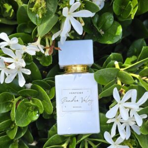 Perfume ORIGINAL