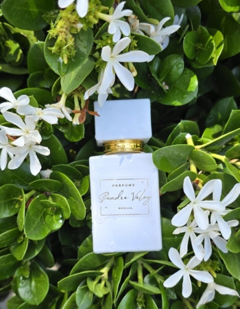 Perfume ORIGINAL