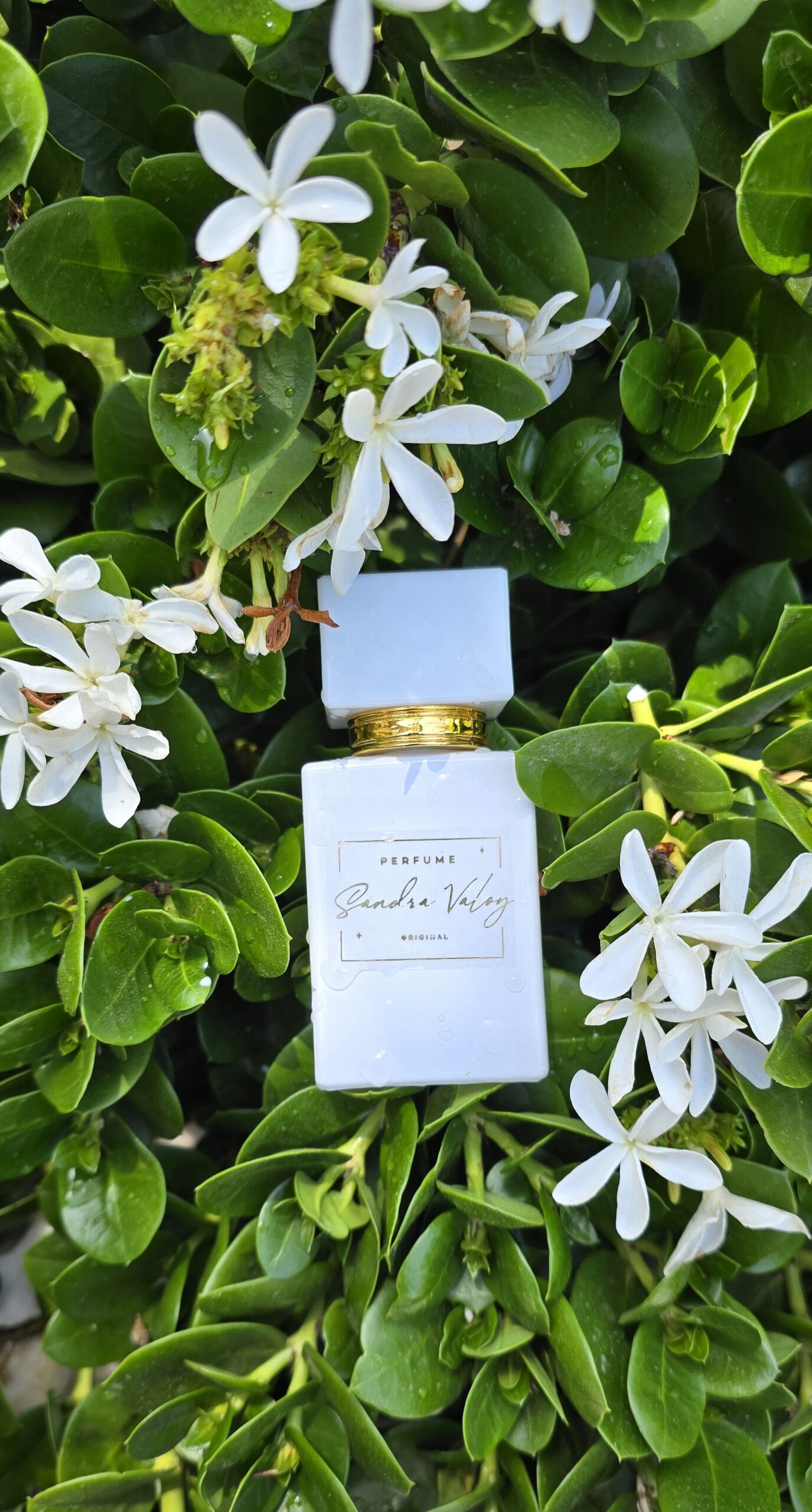 Perfume ORIGINAL